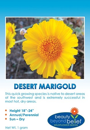 Desert Marigold seed packet