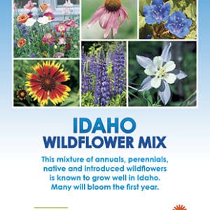 Idaho Wildflower Mix