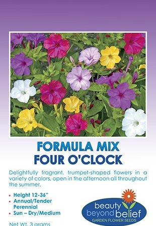 Four O'clock - Mirabilis jalapa 'Formula Mix'