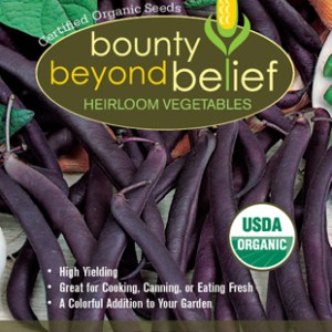 Bean, Organic Royal Purple