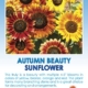 Autumn Beauty Sunflower seed packet.