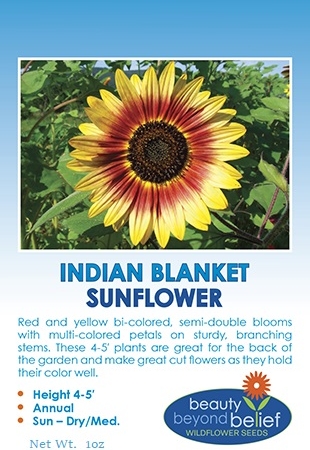 Indian Blanket sunflower seed packet.