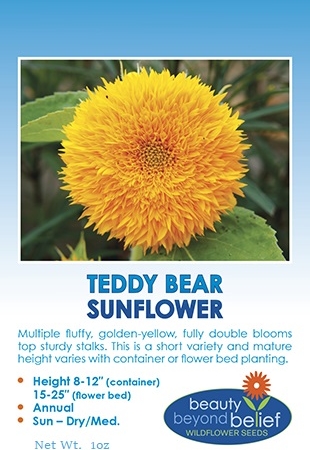 Teddy Bear sunflower seed packet.