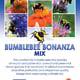 The front of the Bumblebee Bonanza flower mix packet.