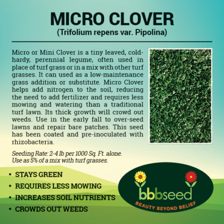 The label on a bag of Micro Clover seeds.