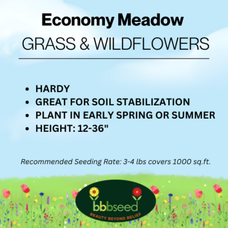 The label on a bag of Economy meadow Grass & Wildflower Seed