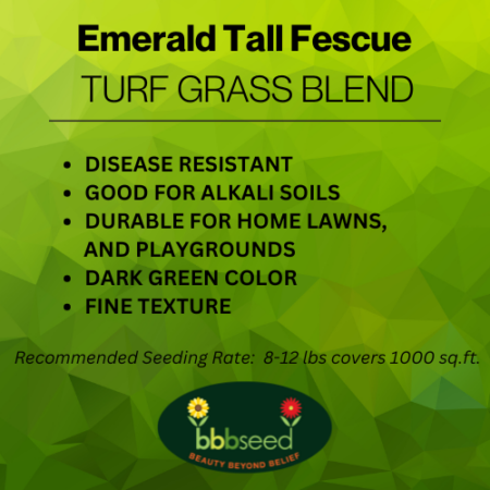 The label on a bag of Emerald Tall Fescue Blend Grass seed.