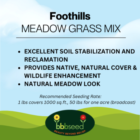 Image of foothills grass mix label