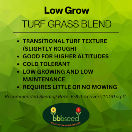 Image of low grow turf grass label