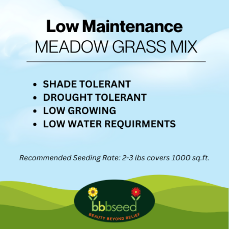 Image low maintenance grass mix label