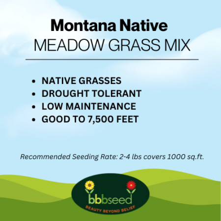 Image of Montana Native Grass Mix label