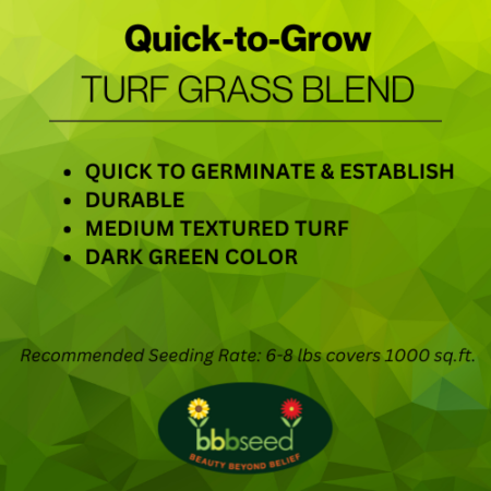 Image of quick to grow turf grass label