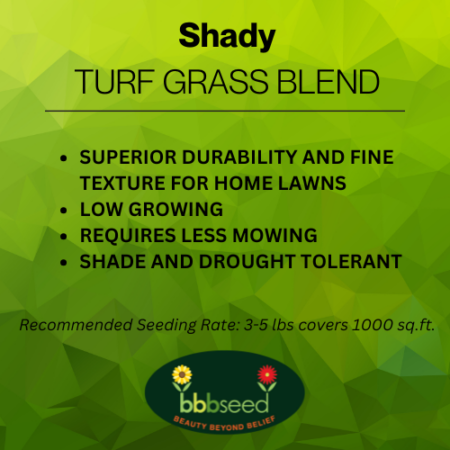 Image of shady turf grass label