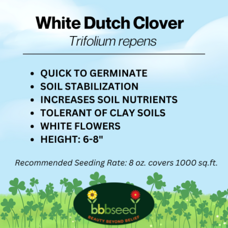 Image of white dutch clover label