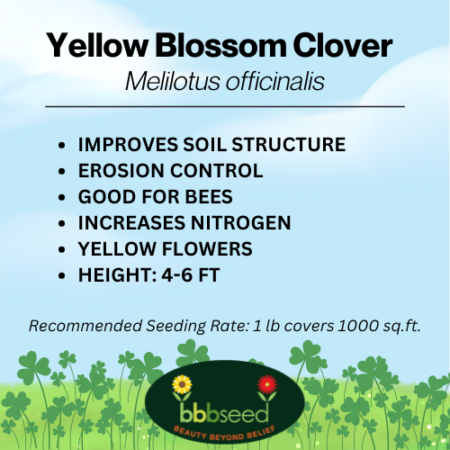 Image of yellow clover label