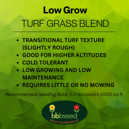 Low grow turf grass blend