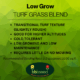 Low grow turf grass blend